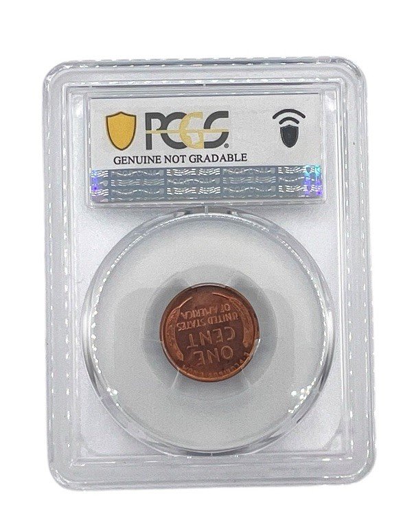 1920 Lincoln Wheat Cent PCGS Genuine UNC Details Questionable Color Penny photo 2