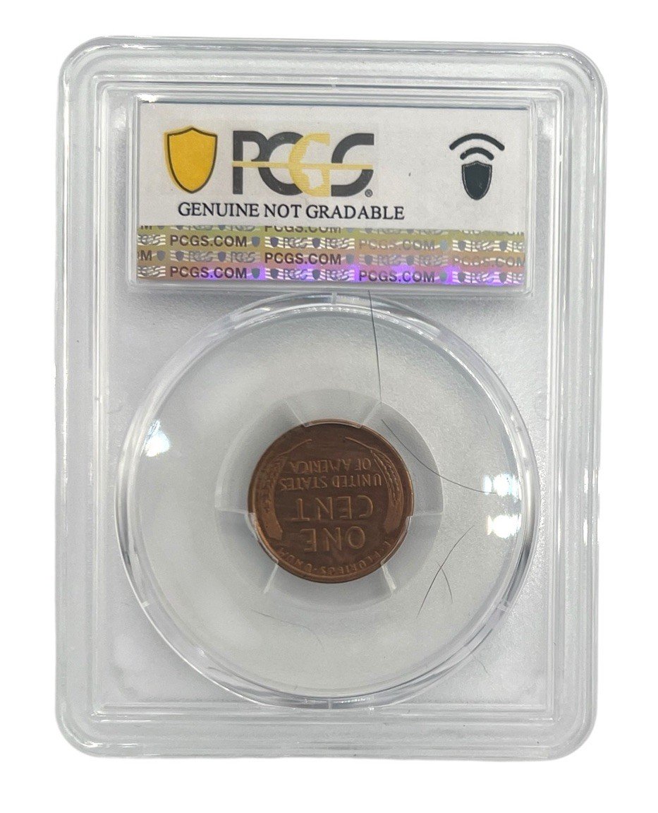 1919-S Lincoln Wheat Cent PCGS Genuine XF Details Harshly Cleaned Penny photo 2