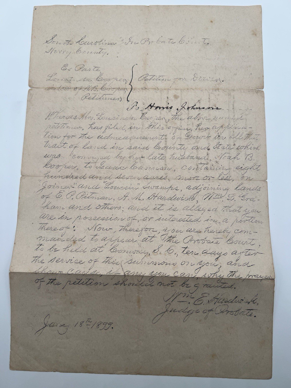1899 SC Horry County Loucinda Cooper 807-Acre Dower Summons # 1120