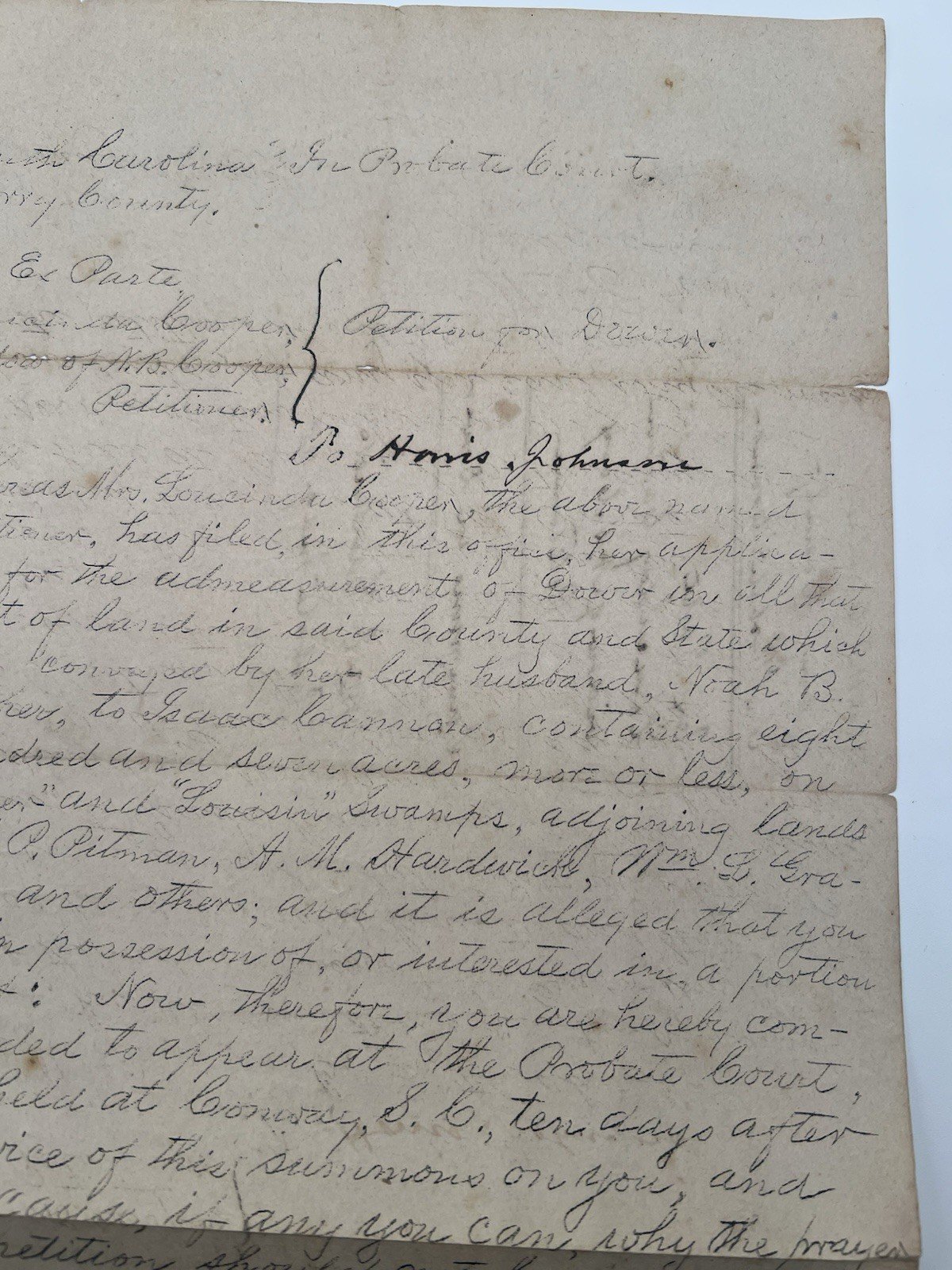 1899 SC Horry County Loucinda Cooper 807-Acre Dower Summons # 1120 photo 3