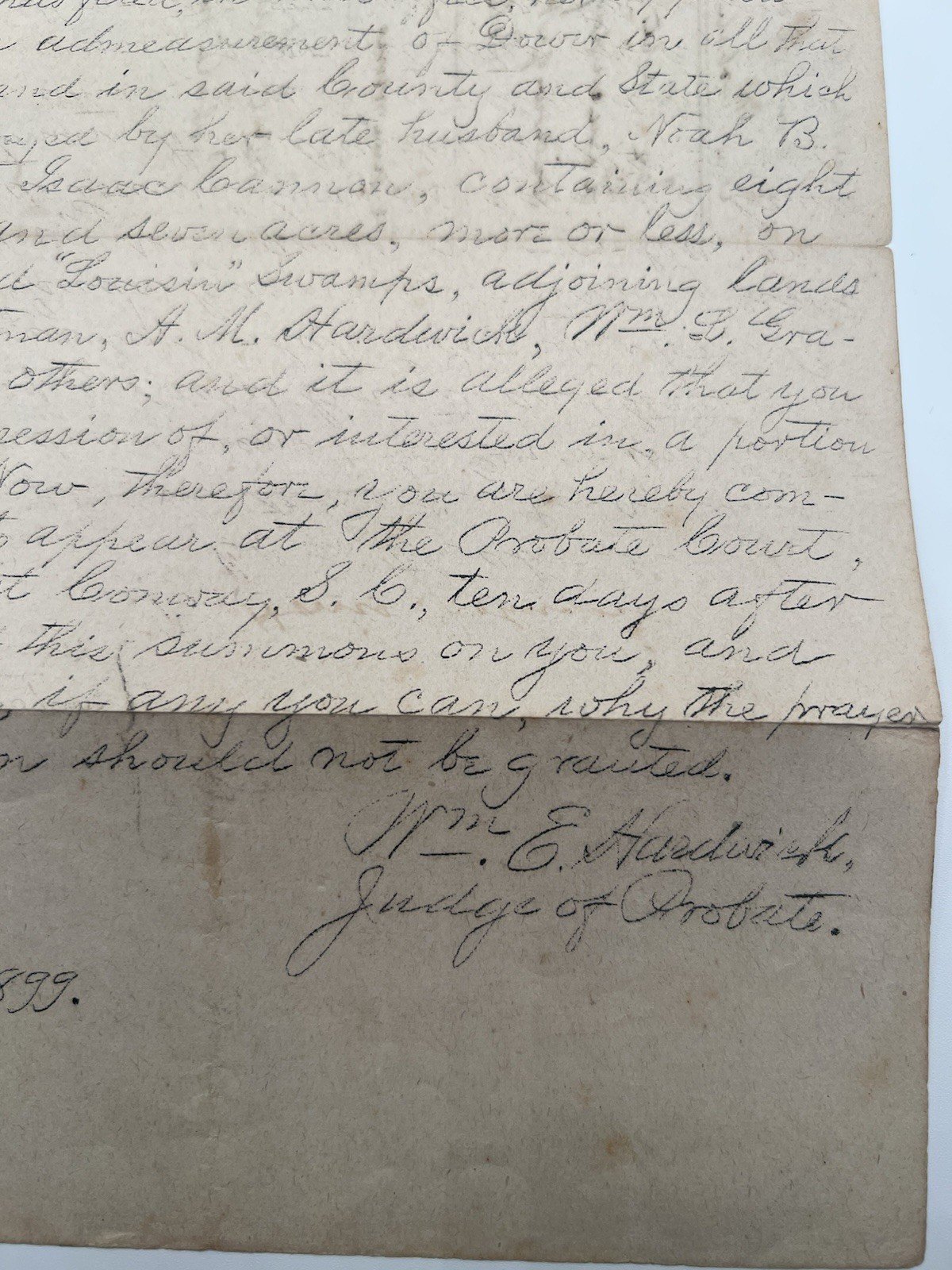 1899 SC Horry County Loucinda Cooper 807-Acre Dower Summons # 1120 photo 5
