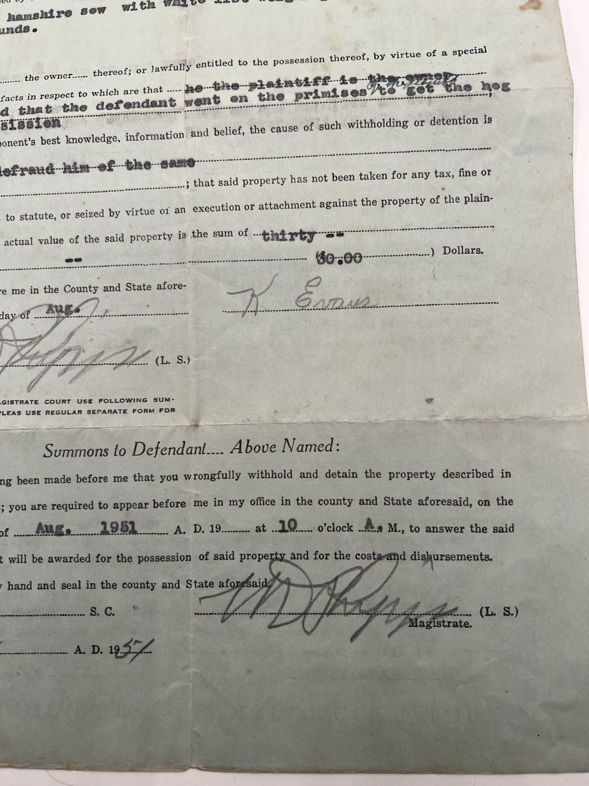 1951 Horry County SC Court Case Hampshire Sow Hog Dispute # 1123 photo 5