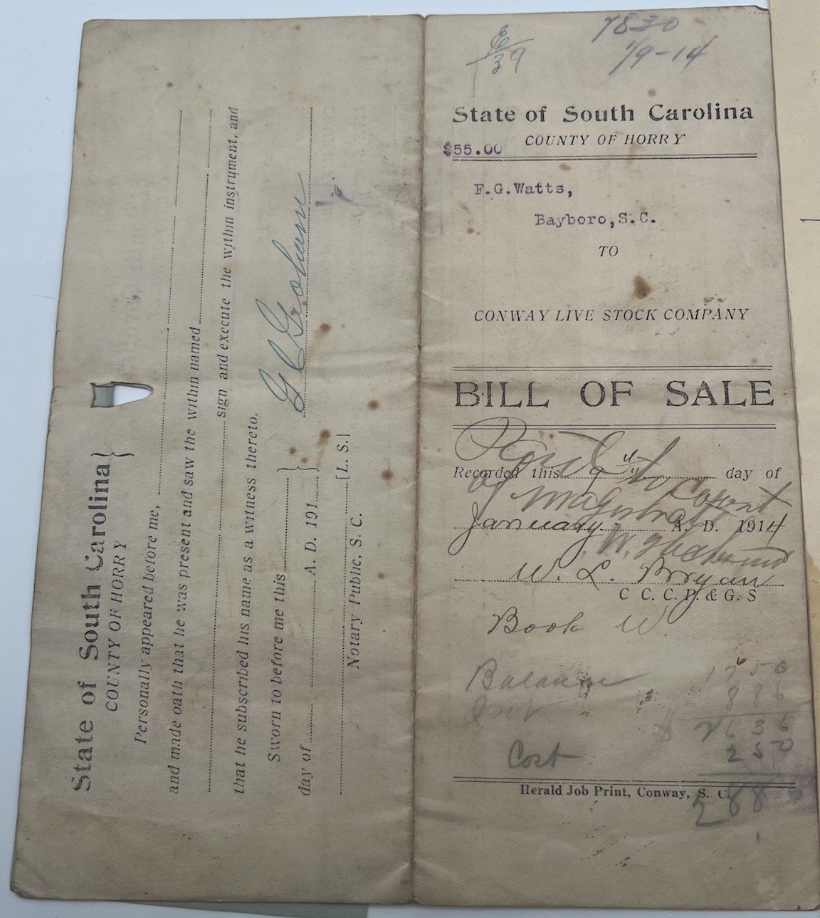 1914 Horry County SC Livestock Bill of Sale & 1903 Distilling Ledger # 1126 photo 2