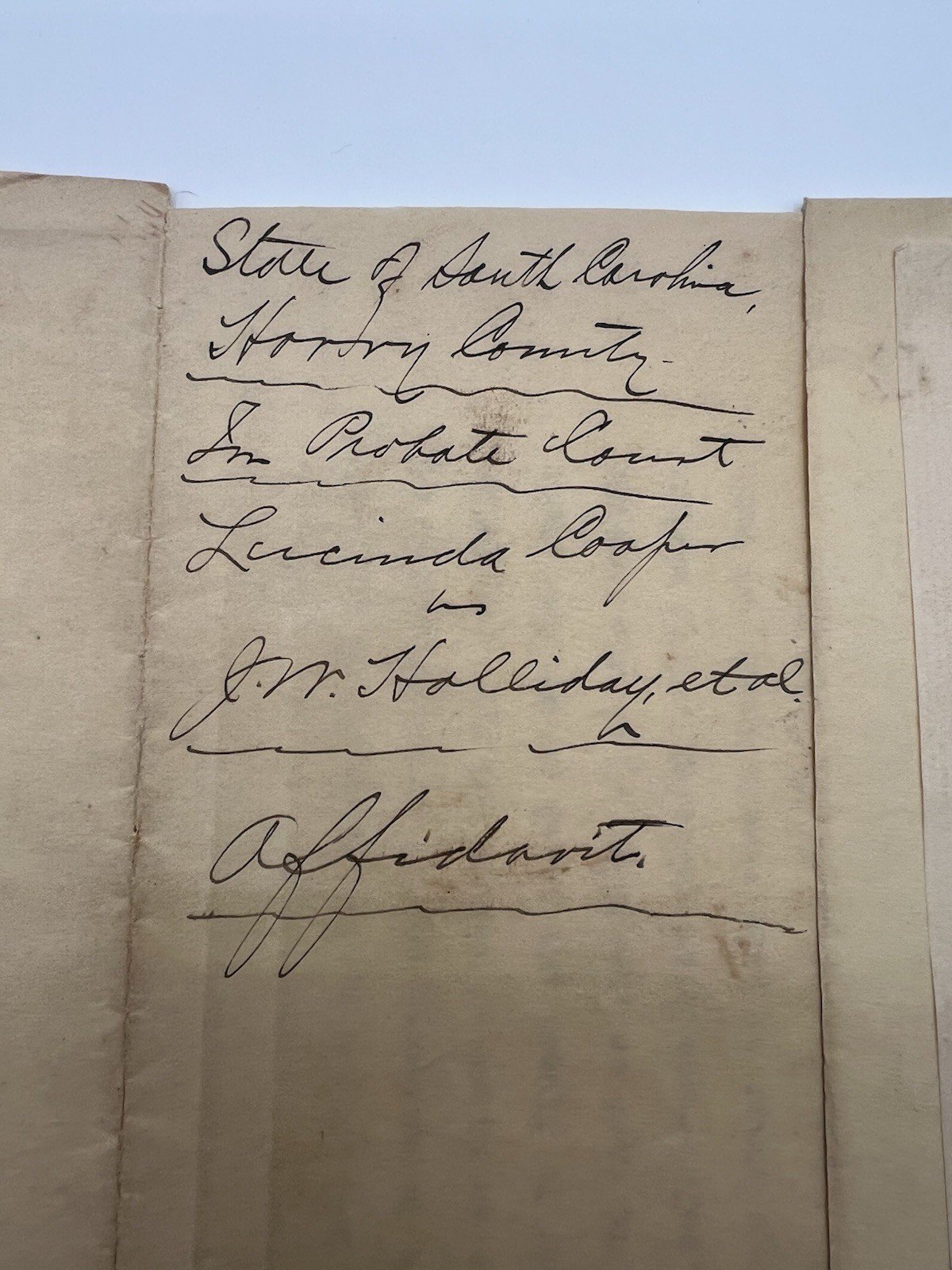 1903 Horry County SC Probate Court Affidavit – Lucinda Cooper Dower Case # 1128 photo 3