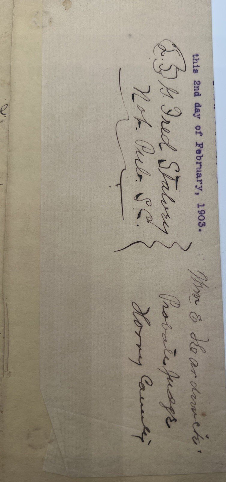 1903 Horry County SC Probate Court Affidavit – Lucinda Cooper Dower Case # 1128 photo 4
