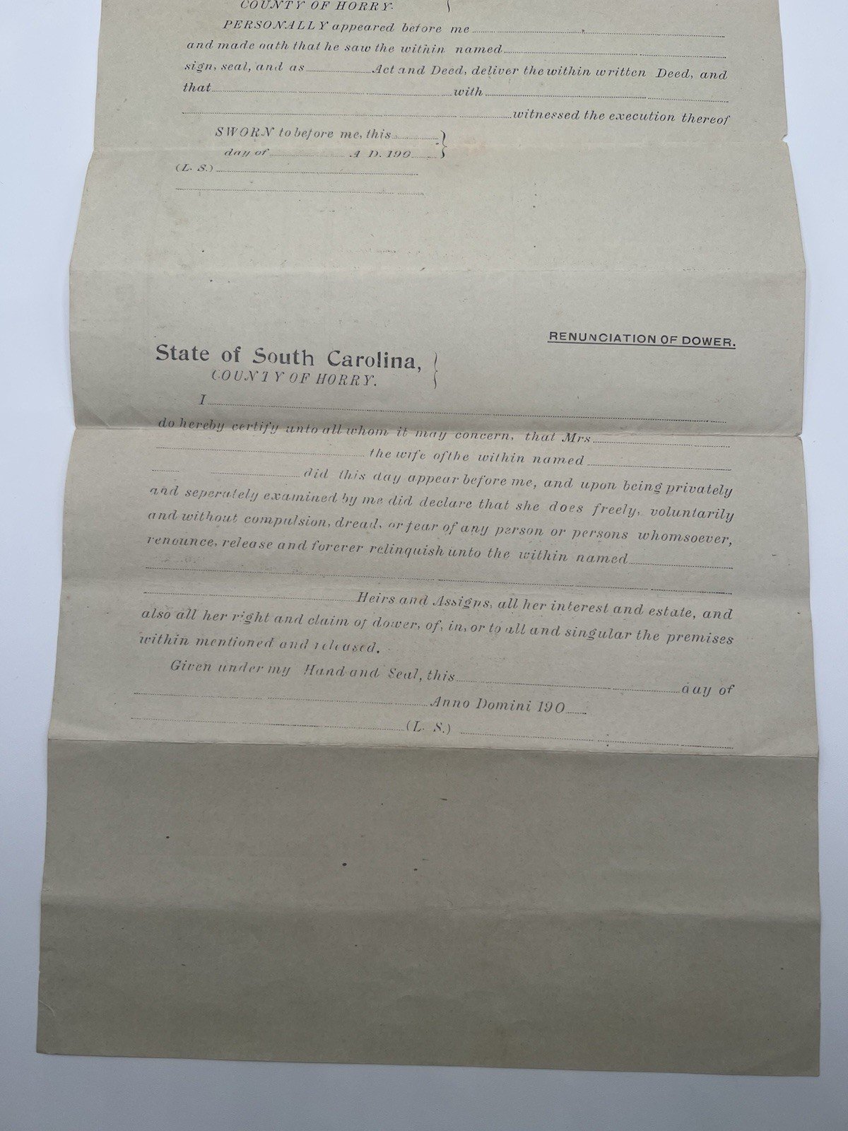 1905 Horry County SC Land Deed W.F. Mishoe to James M. Cannon 60 Acres # 1129 photo 3