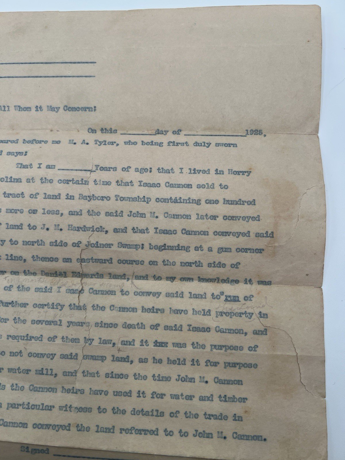 1925 Horry County SC Land Affidavit Draft – Cannon Hardwick Joiner Swamp # 1131 photo 3