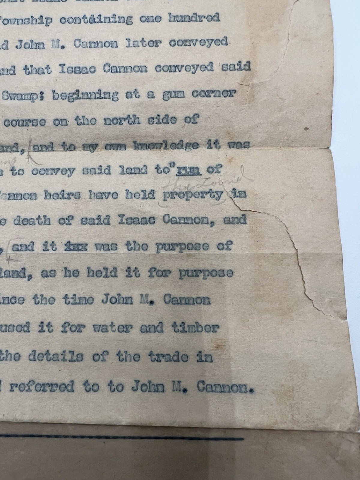 1925 Horry County SC Land Affidavit Draft – Cannon Hardwick Joiner Swamp # 1131 photo 4