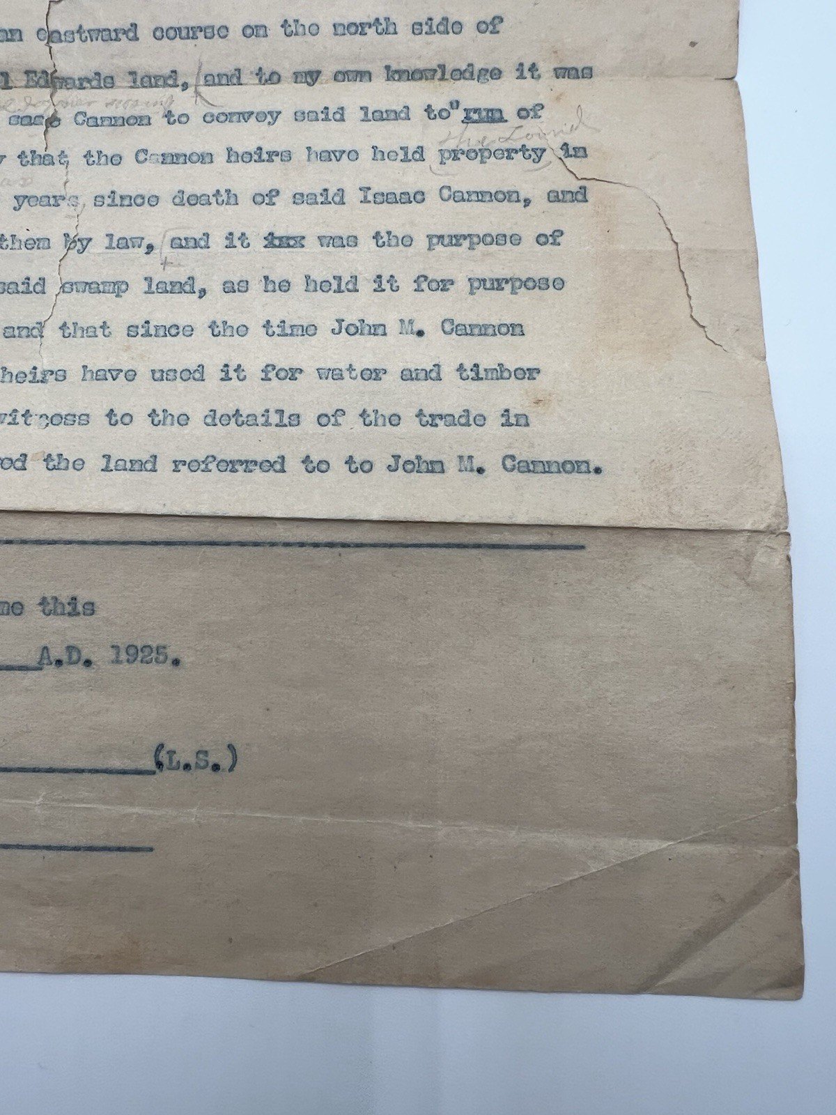 1925 Horry County SC Land Affidavit Draft – Cannon Hardwick Joiner Swamp # 1131 photo 5