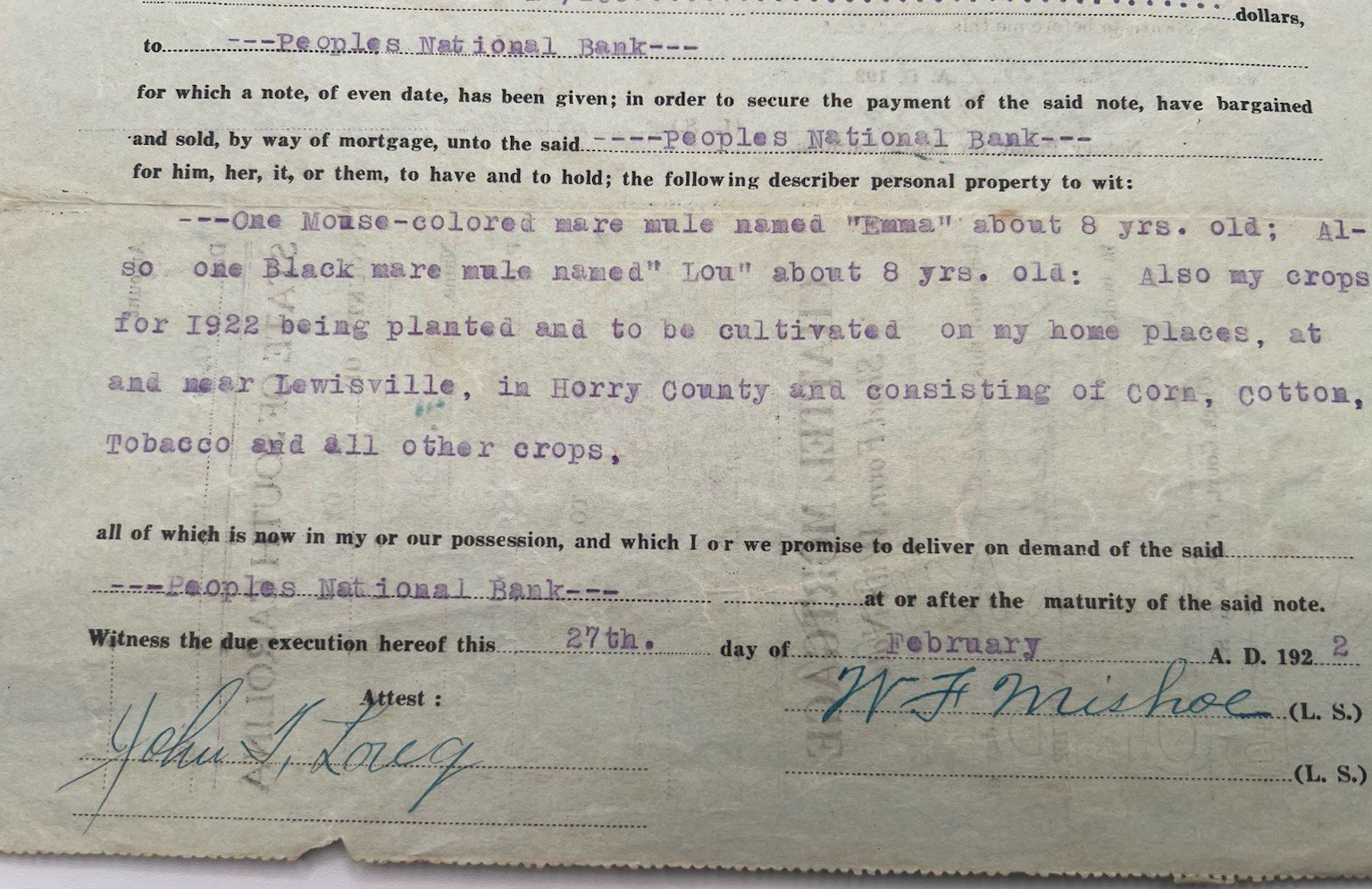 1922 Horry County SC Chattel Mortgage W.F. Mishoe 2 Mules Crops # 1150 photo 3