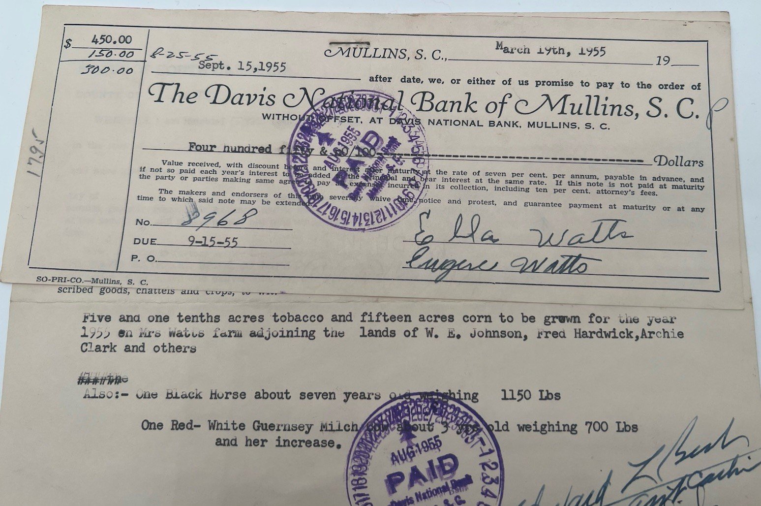 1955 SC Chattel Crop Mortgage Davis National Bank Horse Cow Tobacco Horry # 1151 photo 3