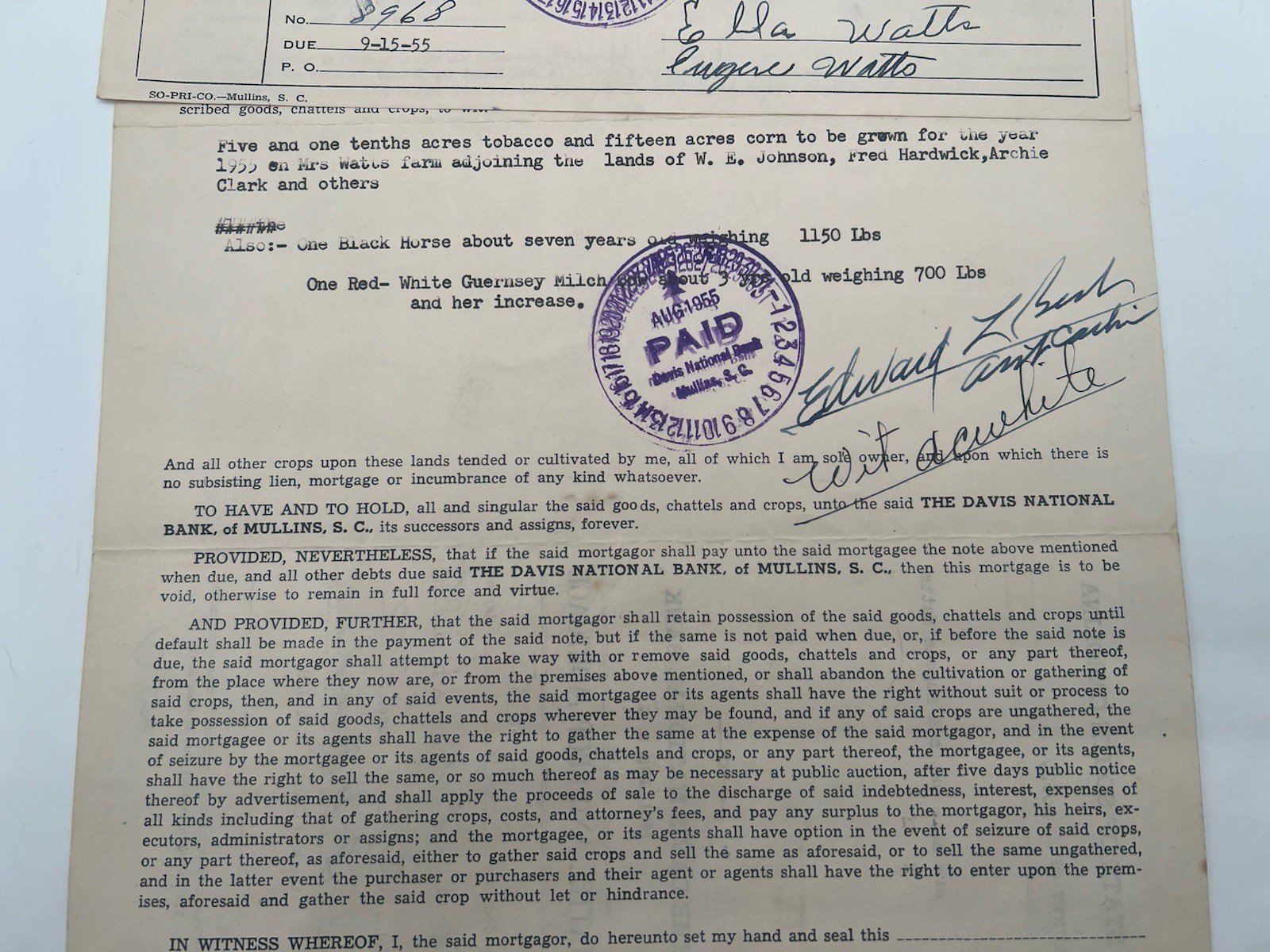 1955 SC Chattel Crop Mortgage Davis National Bank Horse Cow Tobacco Horry # 1151 photo 4