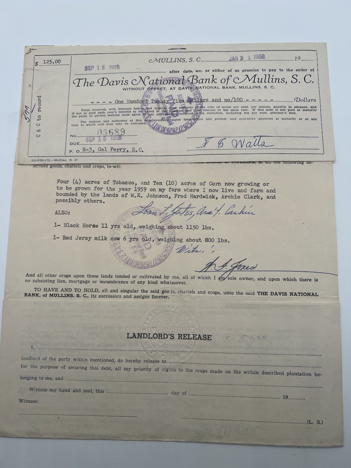 1959 Horry County SC Chattel Crop Mortgage Davis Bank F.G. Watts # 1159