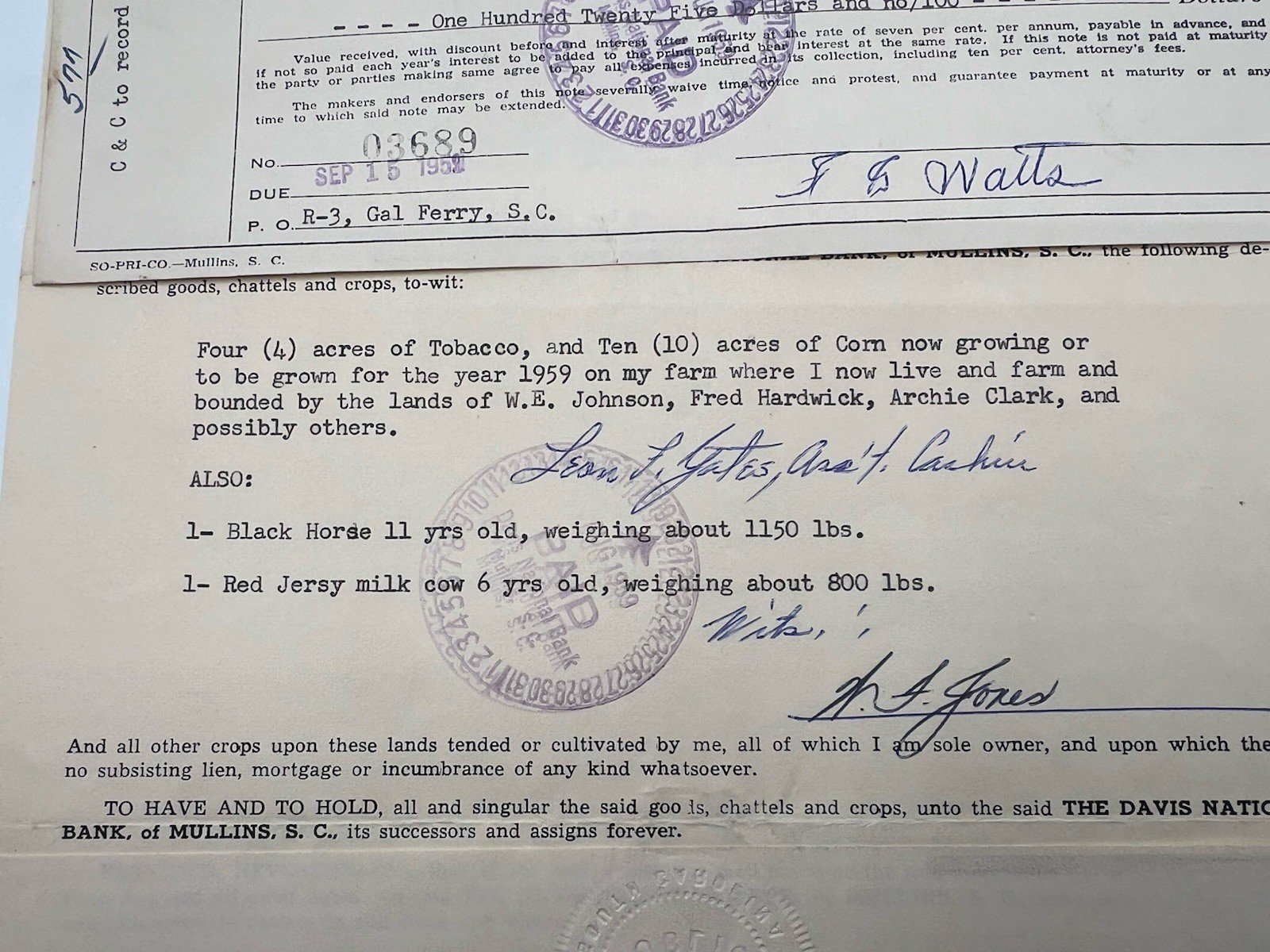 1959 Horry County SC Chattel Crop Mortgage Davis Bank F.G. Watts # 1159 photo 3