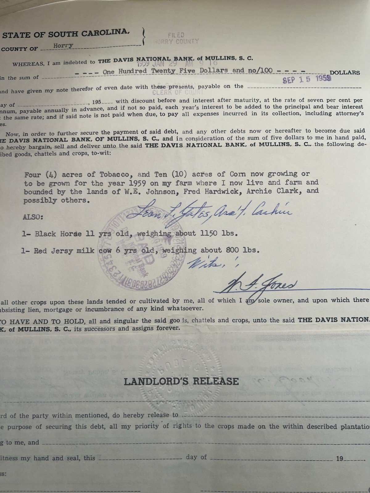 1959 Horry County SC Chattel Crop Mortgage Davis Bank F.G. Watts # 1159 photo 5
