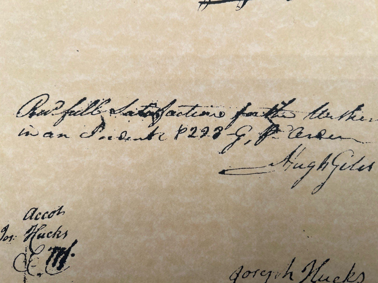 1782 South Carolina Revolutionary War Steer Claim Ervin Giles Signed # B1175 photo 5
