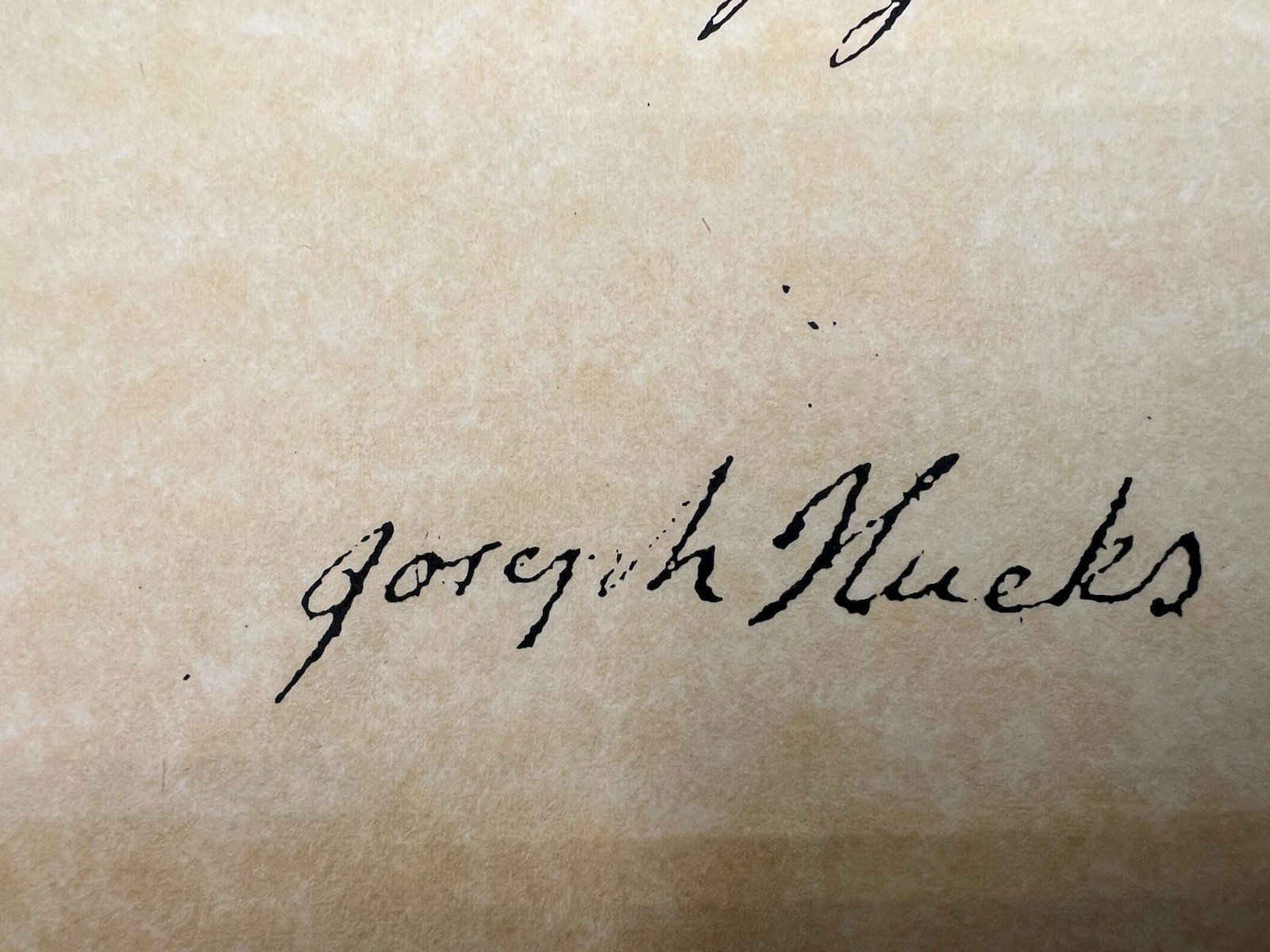 1782 South Carolina Revolutionary War Steer Claim Ervin Giles Signed # B1175 photo 7