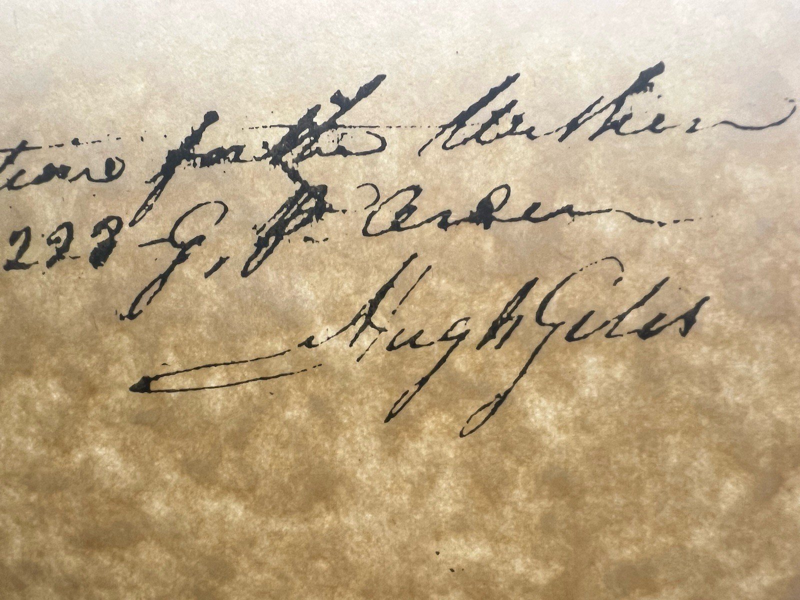 1782 South Carolina Revolutionary War Steer Claim Ervin Giles Signed # B1175 photo 14