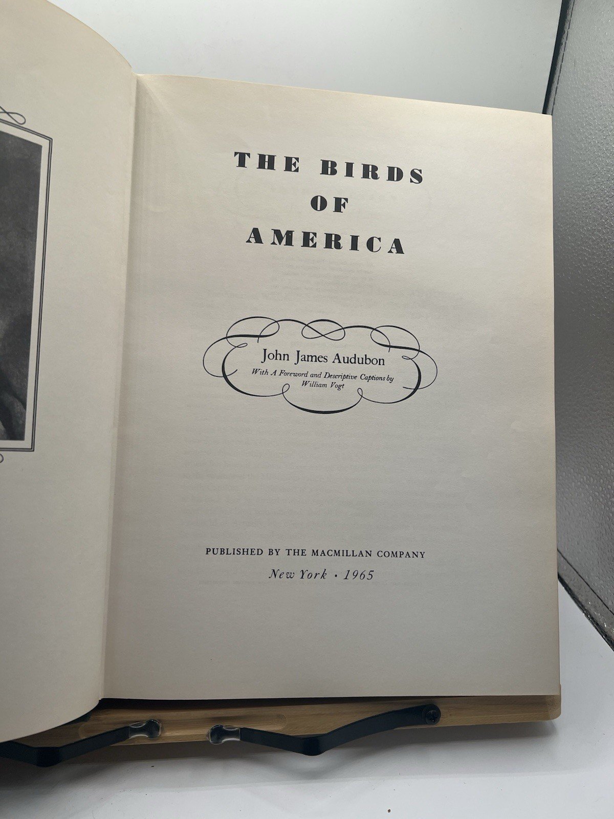 1965 Audubon The Birds of America Macmillan Large Color Illustrated # SH100 photo 3