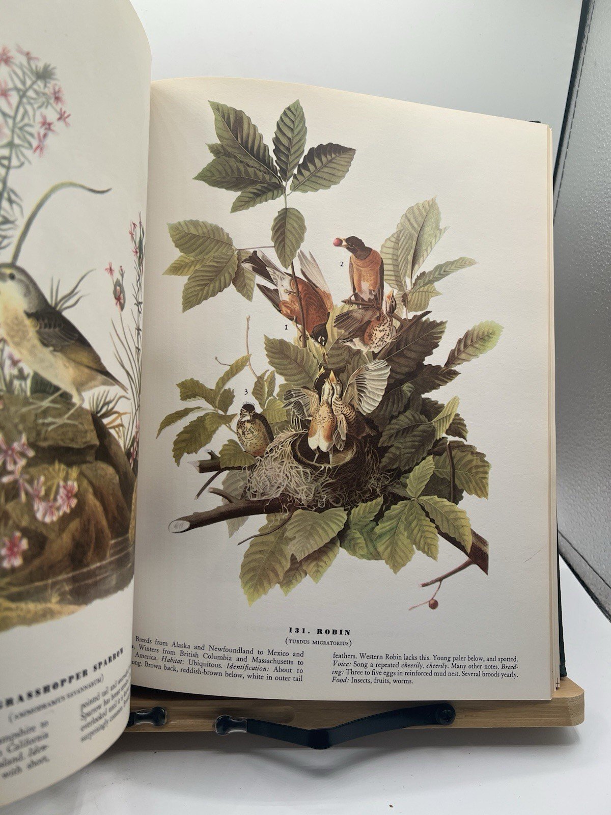 1965 Audubon The Birds of America Macmillan Large Color Illustrated # SH100 photo 7