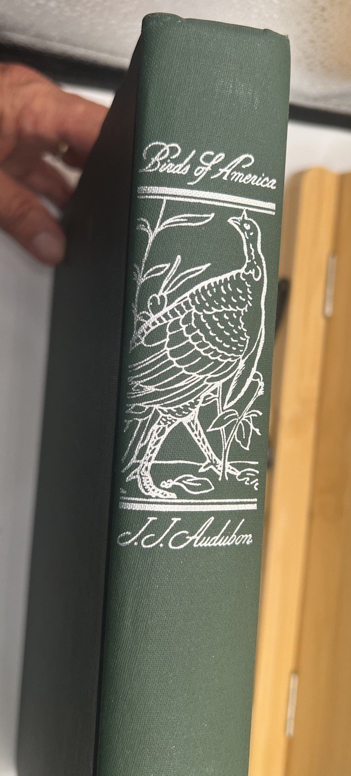 1965 Audubon The Birds of America Macmillan Large Color Illustrated # SH100 photo 14