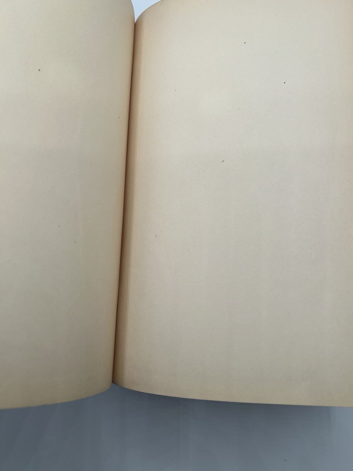 1869 Mark Twain The Innocents Abroad First Edition 2nd State BAL 3316. # SH101 photo 16