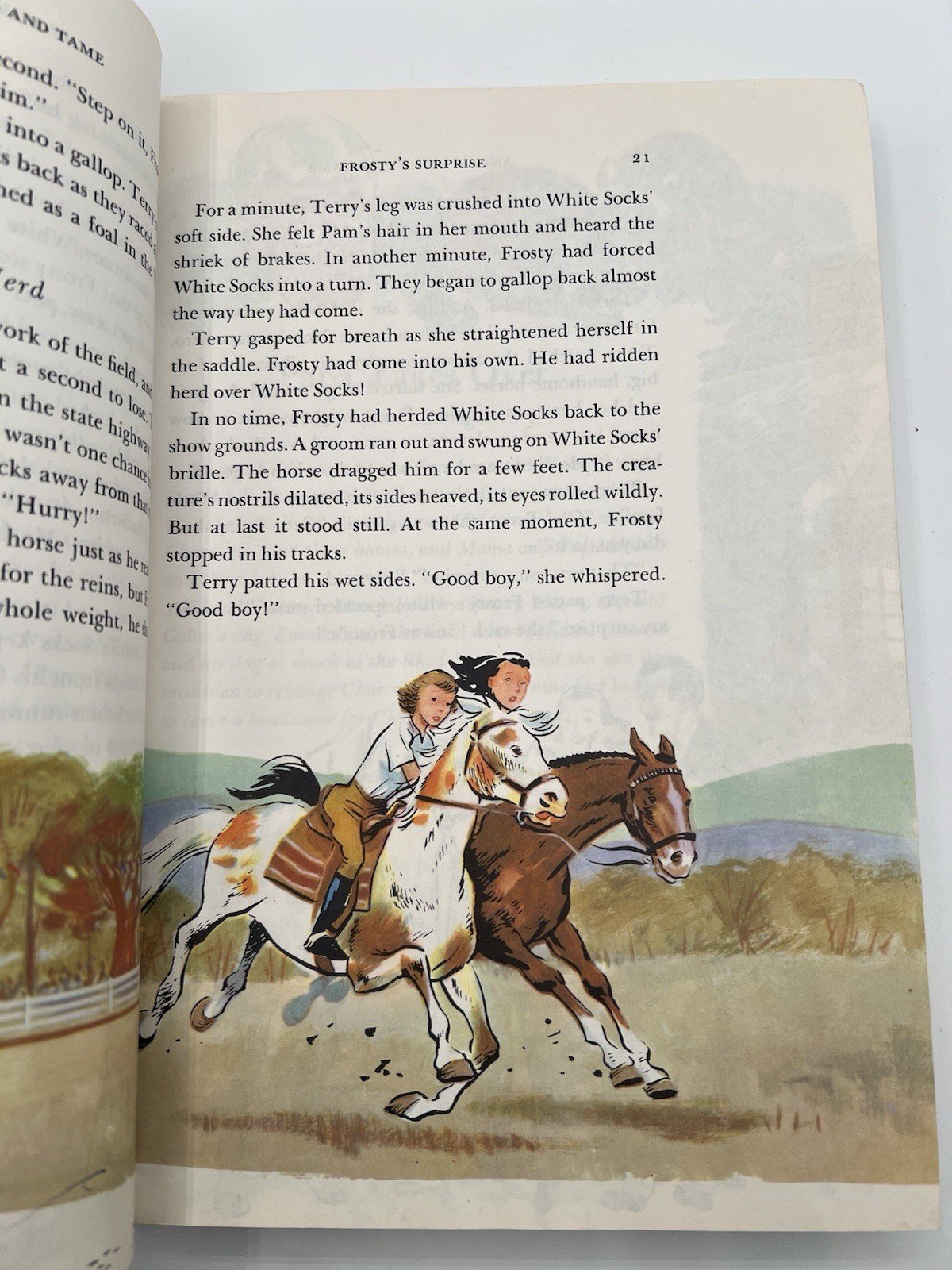 1960 Enchanted Isles New Enlarged Edition Illustrated Children’s Book # 1342 photo 6