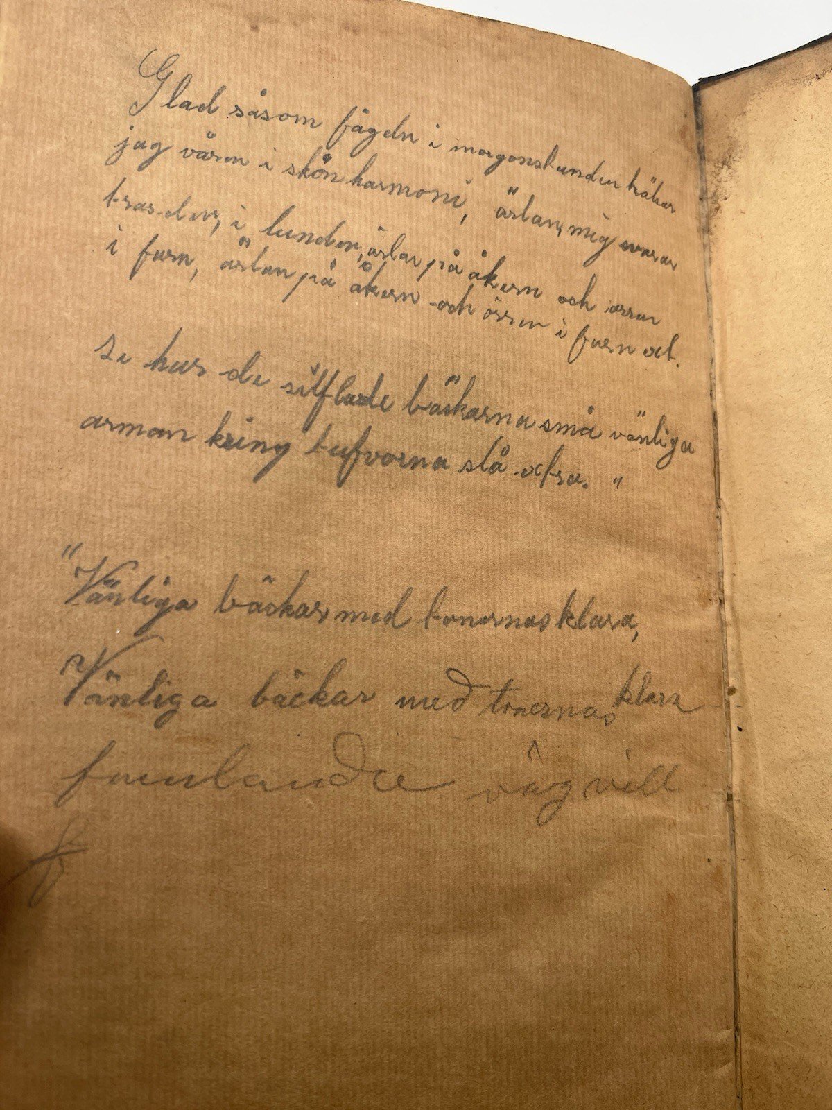 1886 Anton Nyström Allmän Kulturhistoria Vol 1 Swedish Illustrated Book # 1347 photo 7