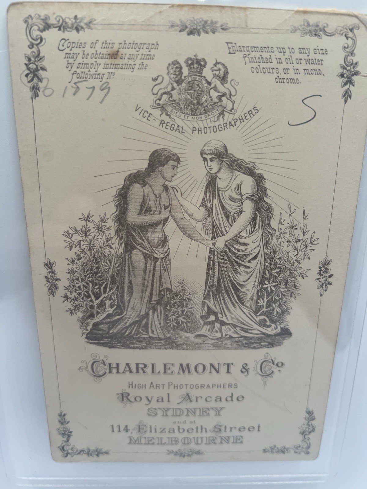 1890s Australian Cabinet Card Charlemont & Co Vice-Regal Photographers #1413 photo 4