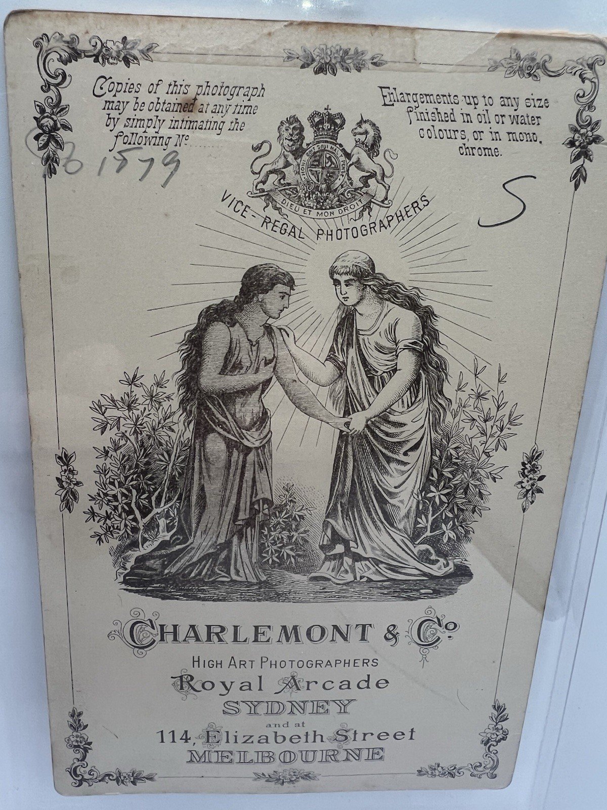 1890s Australian Cabinet Card Charlemont & Co Vice-Regal Photographers #1413 photo 5
