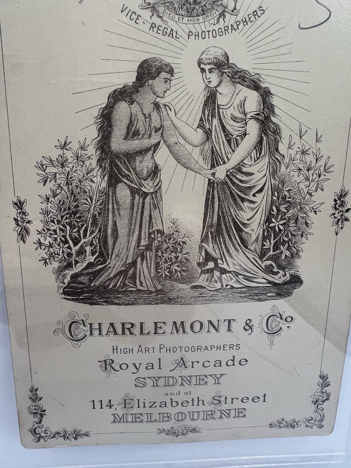 1890s Australian Cabinet Card Charlemont & Co Vice-Regal Photographers #1413 photo 6