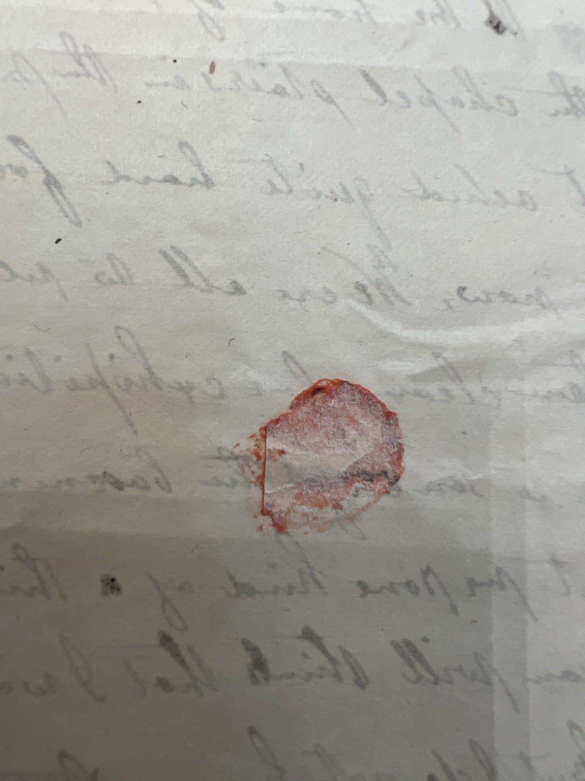 1846 Cazenovia Seminary Student Letters Helen & William Garton NY Pair# 1424 photo 18