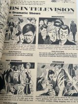 MAD Follies: Fourth Annual Collection of Blunders, Bombs, Acts of Idiocy and Other… # #1551 photo 5