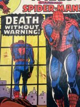 Marvel Tales #56 December 1973, Spider-Man, Marvel Comics # #1531 photo 3